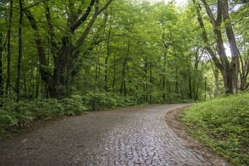 Obraz premium City Park