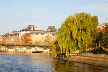 Obraz premium Cite island in Paris, France.