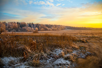scenic autumn landscape at sunset, field, forest and dry grass