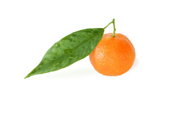 One mandarin