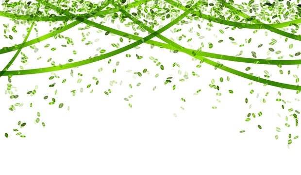 Green confetti background : 221 853 images, photos de stock