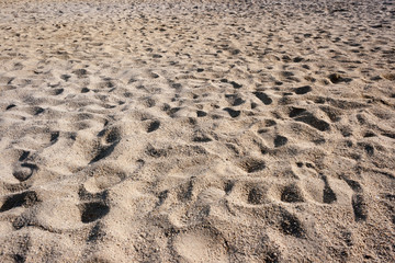 Footprints pattern on sand in a warm sunset light.
