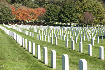 Fototapeta na wymiar Headstone rows at Arlington National Cemetery,