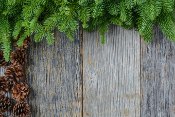Tree branch on rustic wooden background  with pine cones