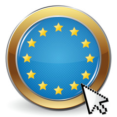 EUROPEAN UNION ICON
