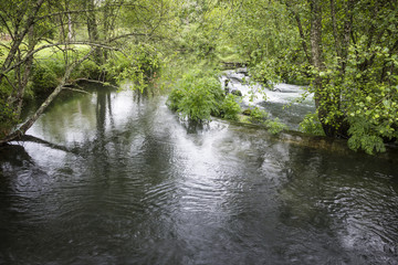 river with a waterfall surrounded by a lush green vegetation