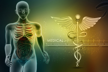 human anatomy and caduceus sign