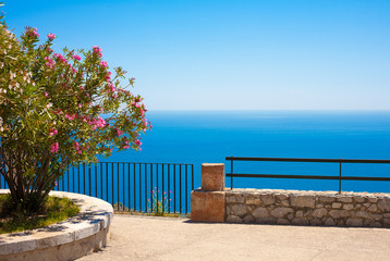 Sea with oleander