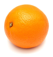 Orange fruit
