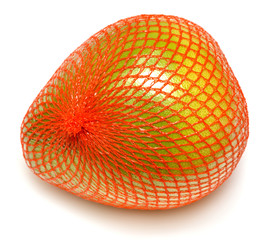 Wrapped in plastic reticle pomelo