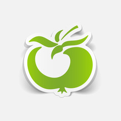 realistic design element: tomato