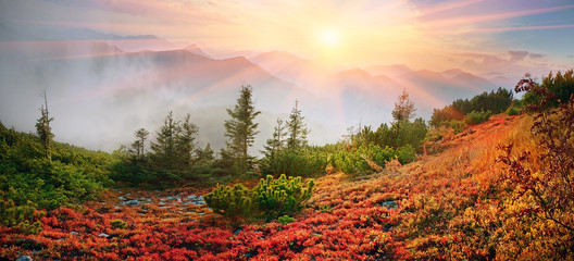 alpine autumn in Gorgany