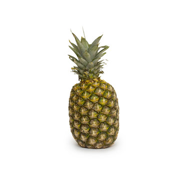 Isolated ananas. Element of design.