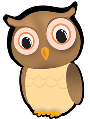 Owl