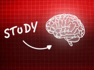 study brain background knowledge science blackboard red