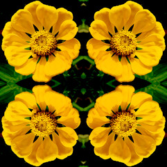 A repeating pattern of yellow flowers