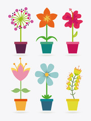 floral design