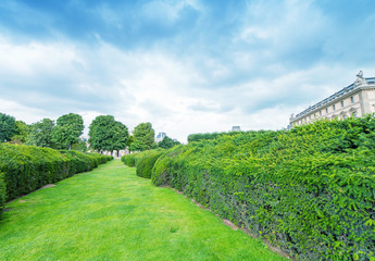 Obraz premium Gardens of Paris in summertime