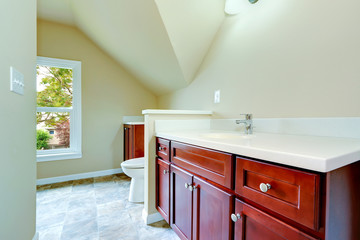 Empty bathroom with vaulted ceiling
