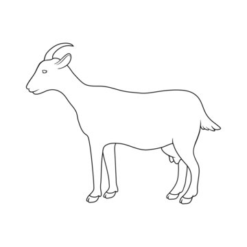 silhouette of goat