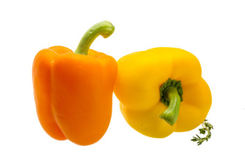 Bulgarian Pepper