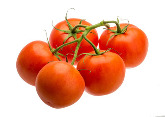 Tomatoes on the branch