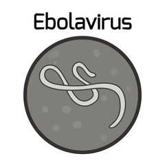 Ebola virus