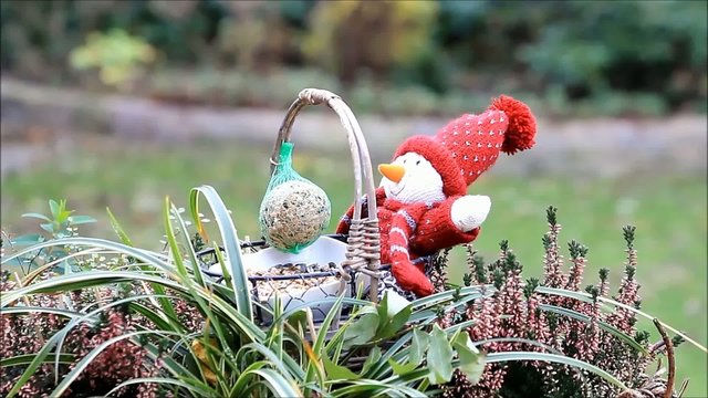 F&uuml;tterung V&ouml;gel im Winter 