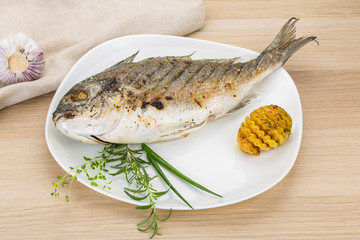 Grilled dorado