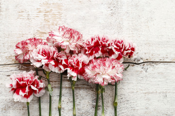 Red and white carnation flowers on wood
