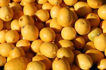Fresh Lemons
