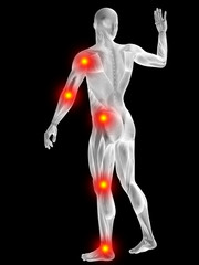 3D human man anatomy with articular pain
