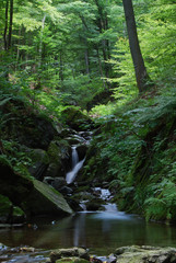 Obraz premium Berkovska fiume - Bulgaria , Berkovica