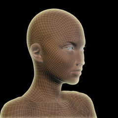 Conceptual wireframe mesh woman face