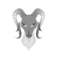 Vector image of an goats head on white background