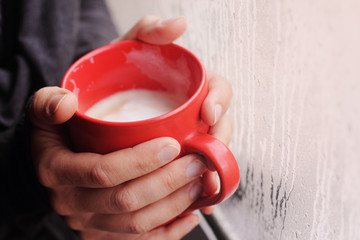 woman holding cup of coffee