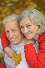 Fototapeta premium happy senior couple
