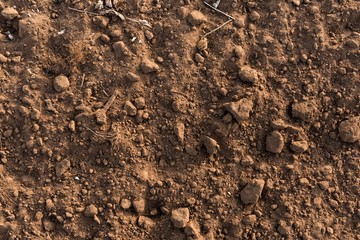 Dry soil closeup before rain