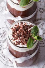 chocolate mousse with whipped cream and mint top view