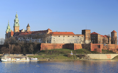 Obraz premium Krakov's palace