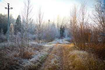 Rural landscape. Rural country road