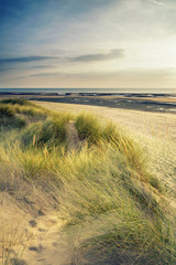 Summer evening landscape view over grassy sand dunes on beach wi