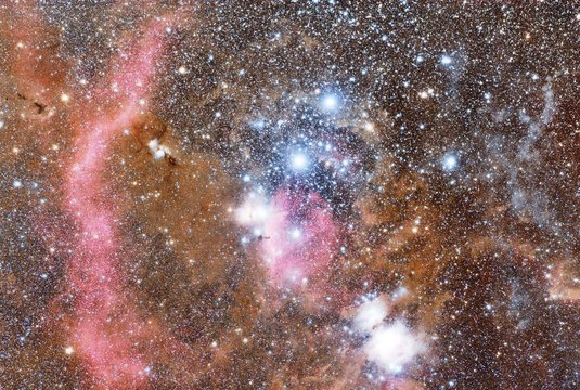 Orion