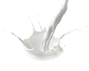 milk splash drop white liquid