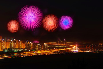Fototapeta premium Firework display in USA