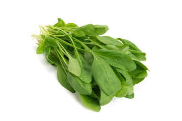 サラダほうれん草