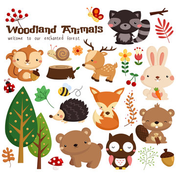 Animal woodland vector set