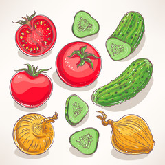 hand-drawn vegetables