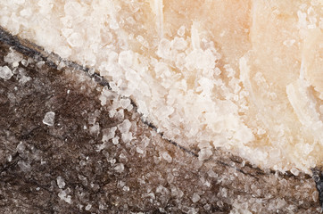 Salt preserved cod