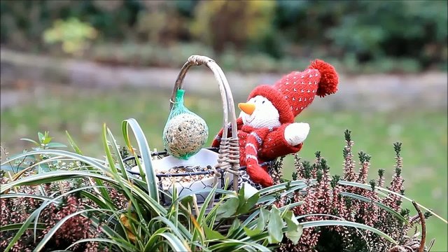F&uuml;tterung V&ouml;gel im Winter 